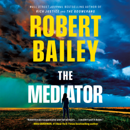 book cover for The Mediator