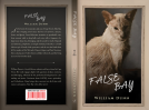 book cover for False Bay