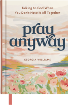 book cover for Pray Anyway