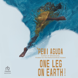 book cover for One Leg on Earth
