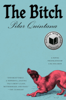 book cover for The Bitch