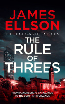 book cover for The Rule of Threes