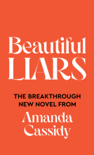 book cover for Beautiful Liars