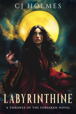 book cover for Labyrinthine