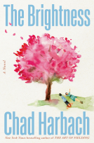 book cover for The Brightness