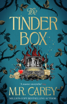 book cover for The Tinder Box