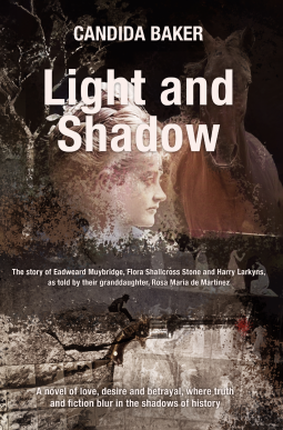 book cover for Light and Shadow