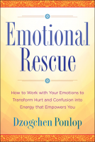 book cover for Emotional Rescue