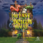 book cover for The Last Dragon House