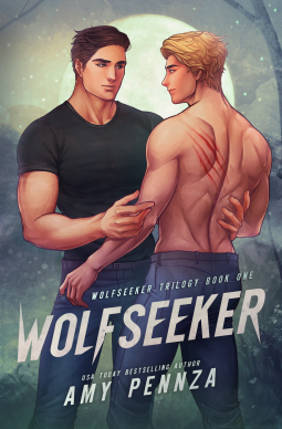 book cover for Wolfseeker