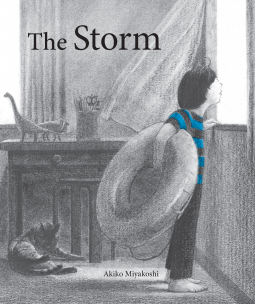 book cover for The Storm