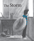 book cover for The Storm