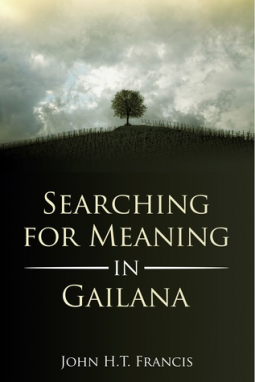 book cover for Searching for Meaning in Gailana
