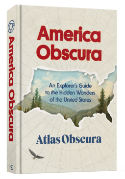 book cover for America Obscura