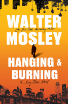 book cover for Hanging and Burning