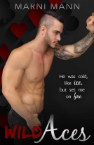 book cover for Wild Aces 