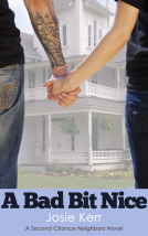book cover for A Bad Bit Nice 