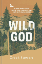 book cover for Wild God