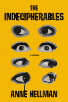 book cover for The Indecipherables
