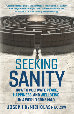 book cover for Seeking Sanity