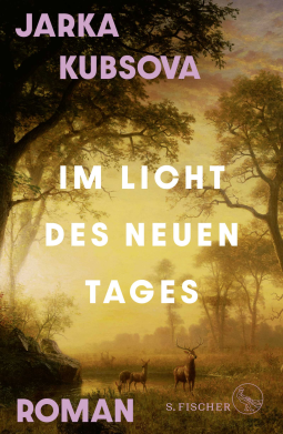 Buchcover für Im Licht des neuen Tages
