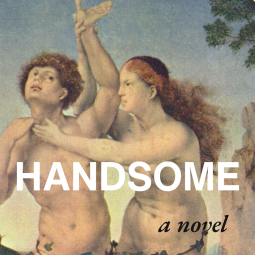 book cover for Handsome