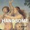book cover for Handsome