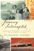 book cover for Journey Interrupted