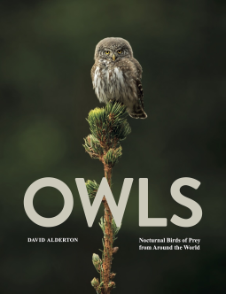 book cover for Owls