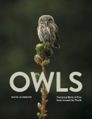 book cover for Owls