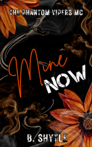 book cover for Mine Now