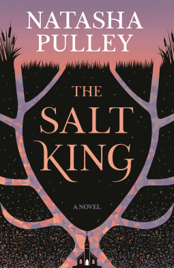 book cover for The Salt King