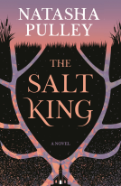 book cover for The Salt King