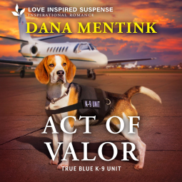 book cover for Act of Valor