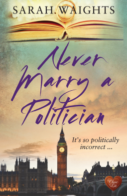 book cover for Never Marry a Politician