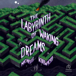 book cover for The Labyrinth of Waking Dreams