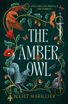 book cover for The Amber Owl