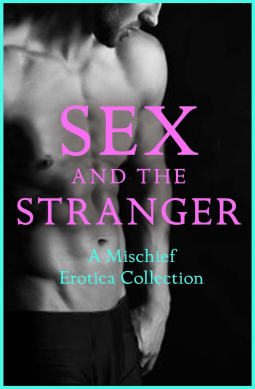 book cover for Sex and the Stranger 2