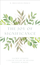 book cover for The Joy Of Significance