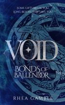 book cover for Void