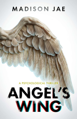 book cover for Angel's Wing