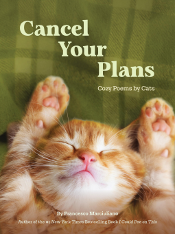 book cover for Cancel Your Plans