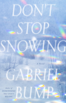 book cover for Don't Stop Snowing