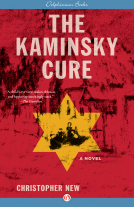 book cover for The Kaminsky Cure