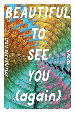 book cover for Beautiful to See You (Again)
