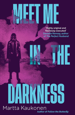 book cover for Meet Me in the Darkness
