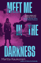 book cover for Meet Me in the Darkness
