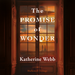 book cover for The Promise of Wonder