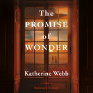 book cover for The Promise of Wonder