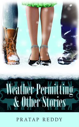 book cover for Weather Permitting & Other Stories